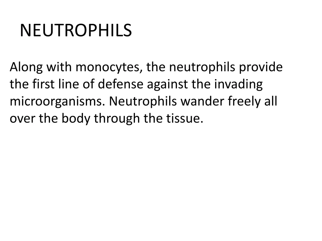 neutrophils 1