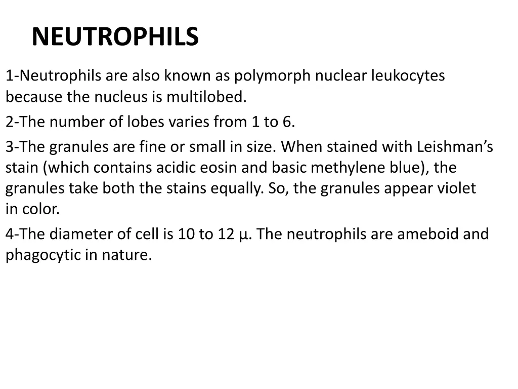 neutrophils