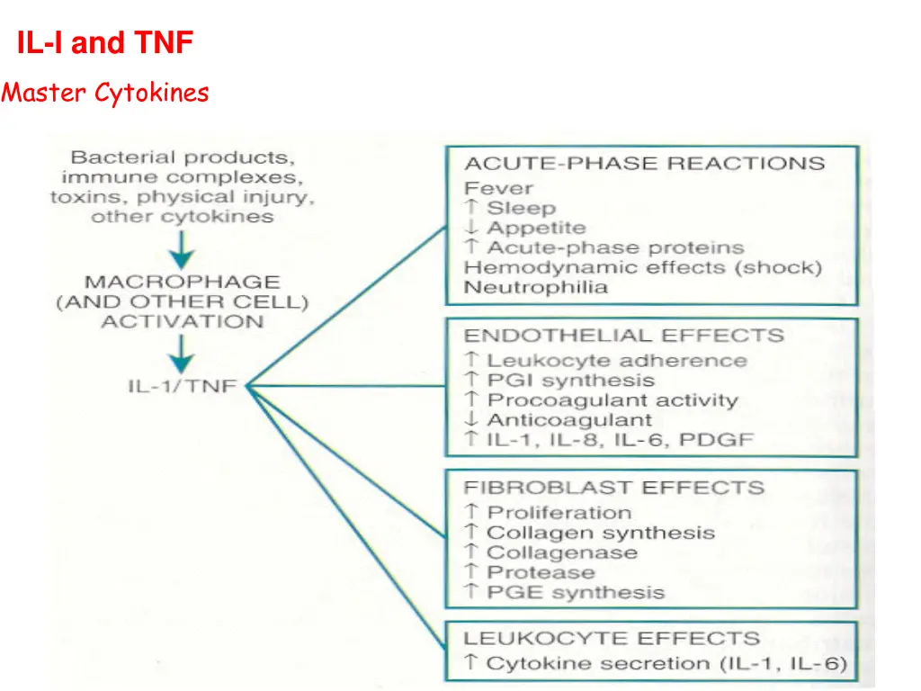 il i and tnf master cytokines