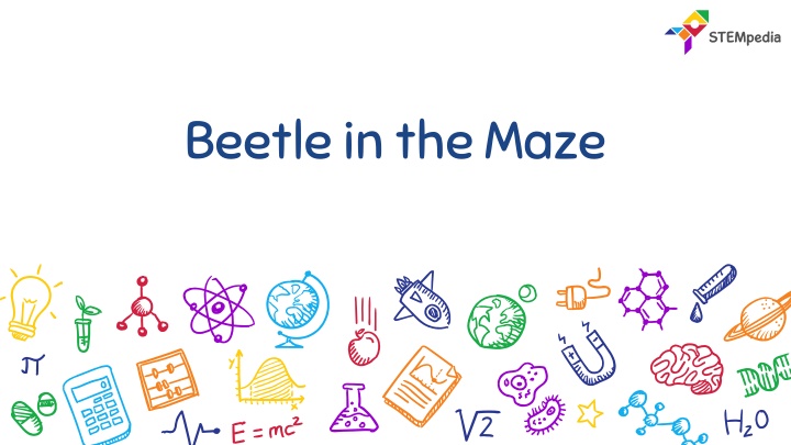 beetle in the maze