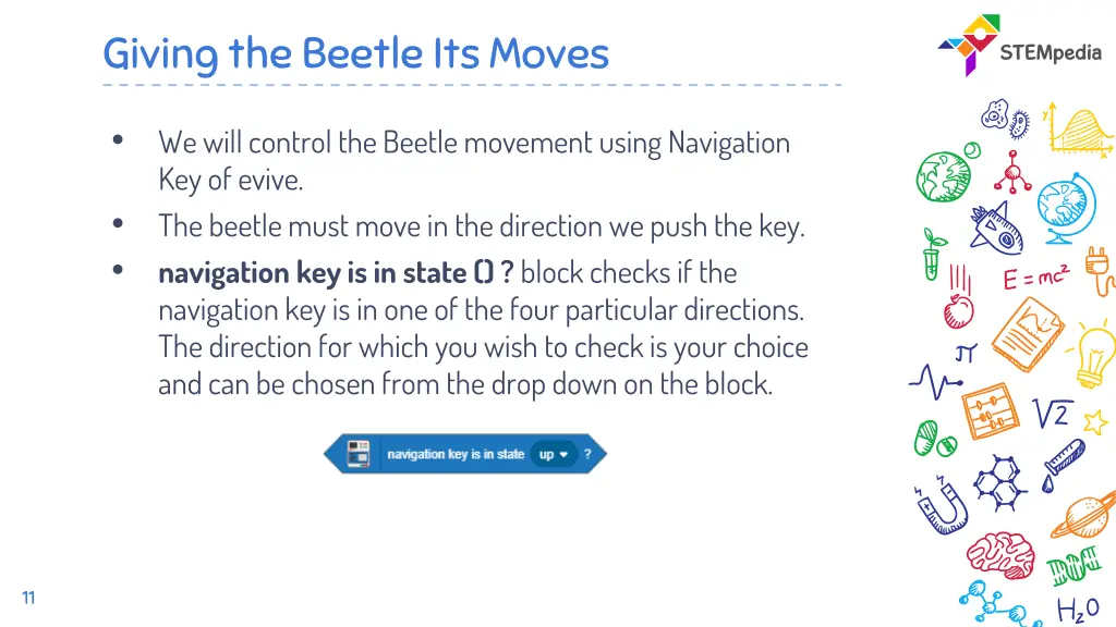 giving the beetle its moves 1