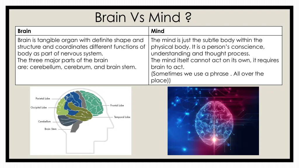 brain vs mind