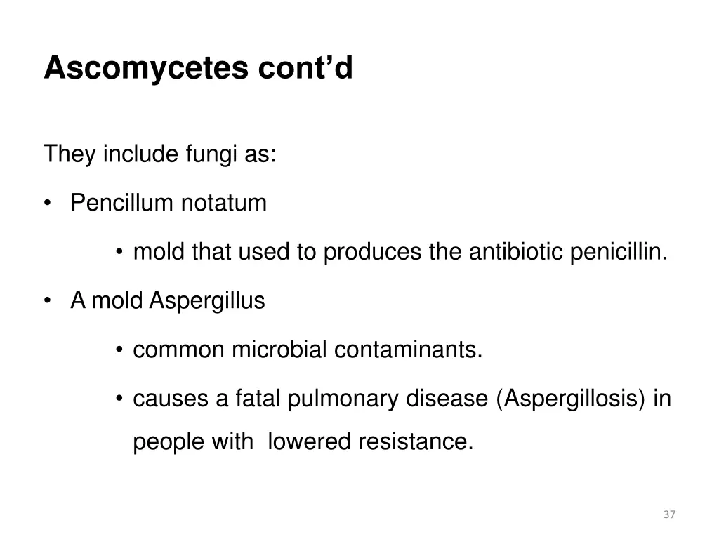 ascomycetes cont d