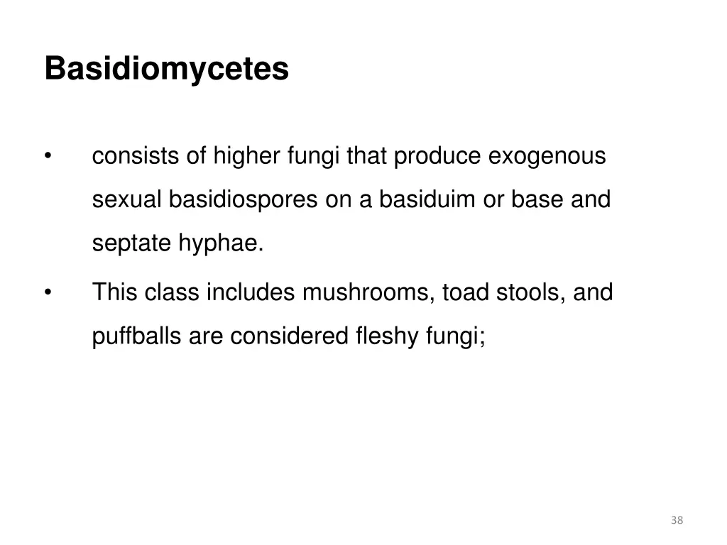 basidiomycetes