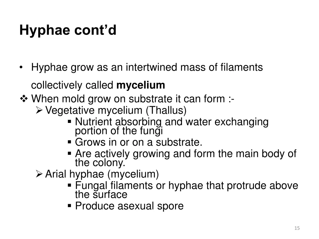 hyphae cont d 1