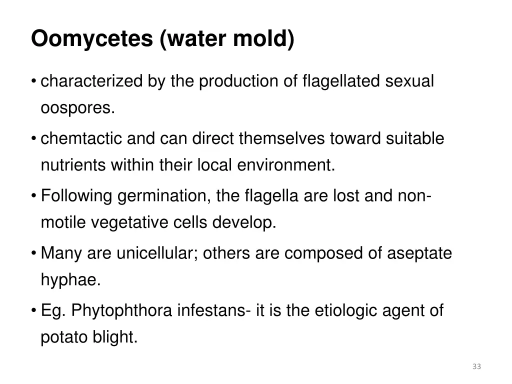 oomycetes water mold