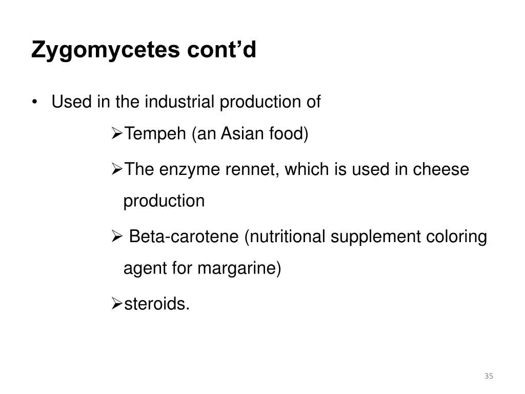 zygomycetes cont d