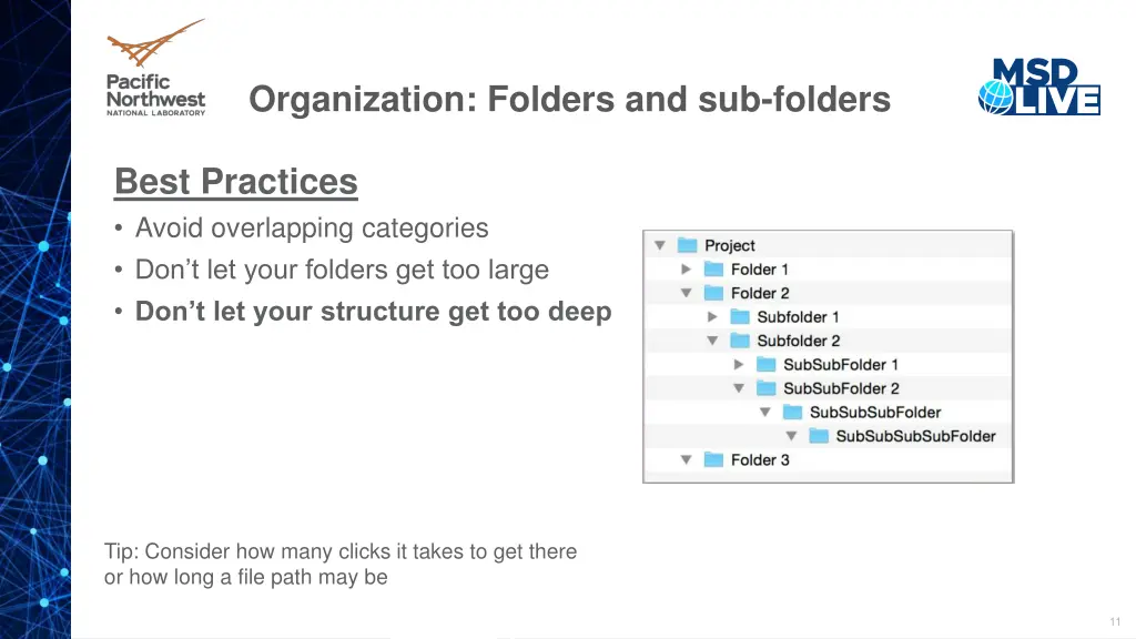 organization folders and sub folders 2