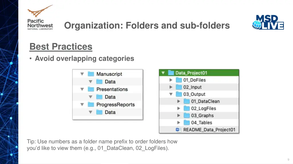 organization folders and sub folders