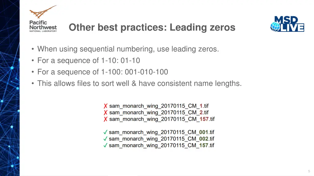 other best practices leading zeros