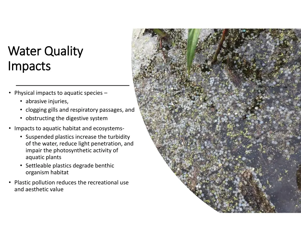 water quality water quality impacts impacts