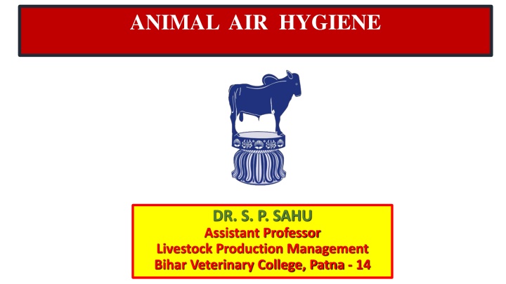 animal air hygiene