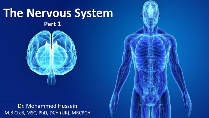 the nervous system part 1