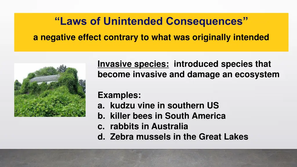 laws of unintended consequences