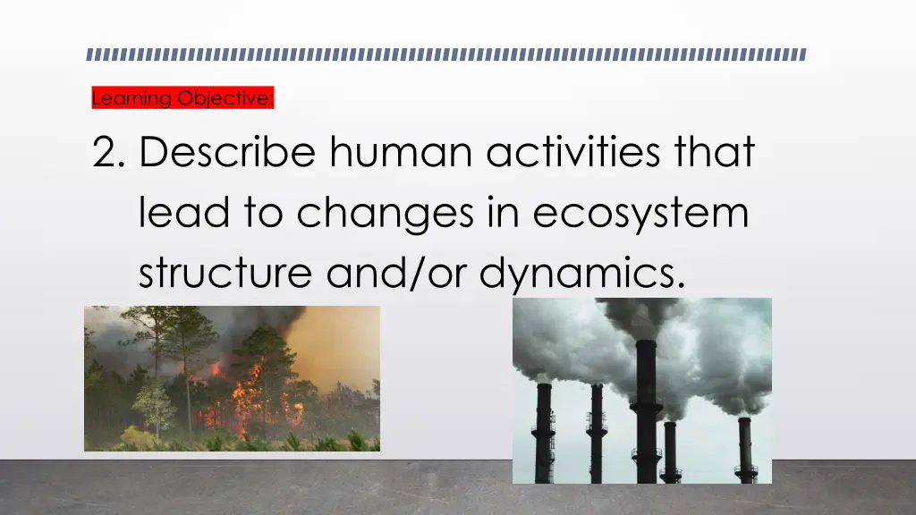 learning objective 2 describe human activities