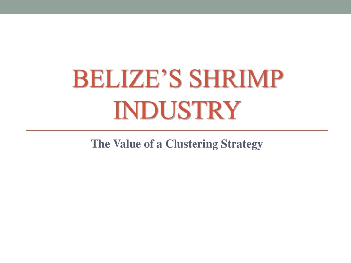 belize s shrimp industry