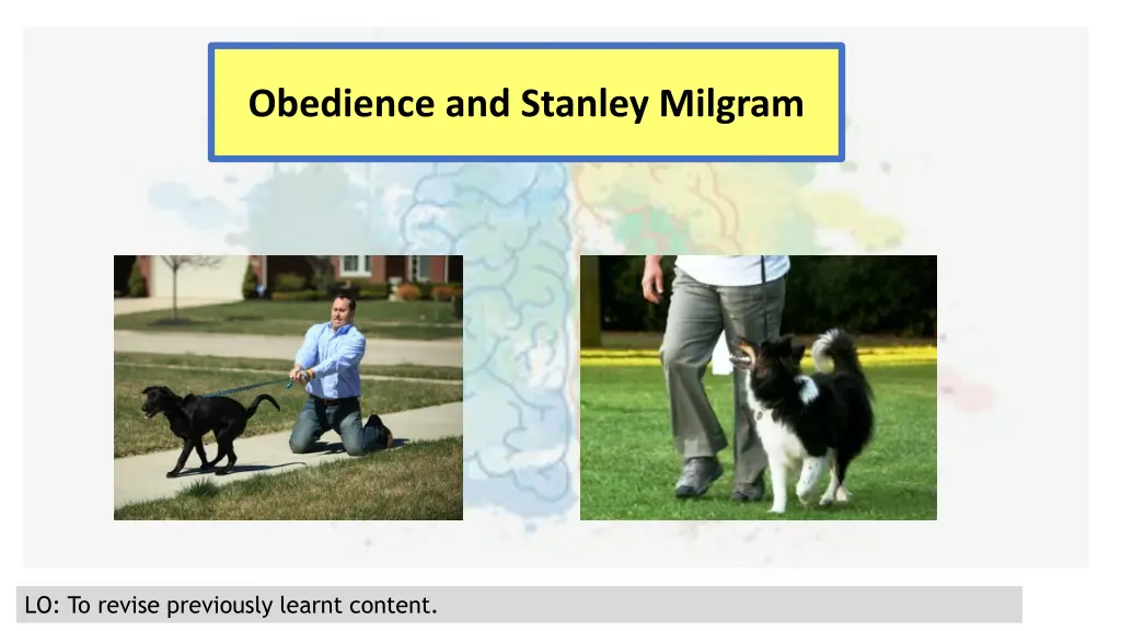 obedience and stanley milgram