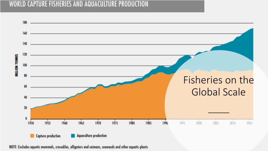 fisheries on the global scale