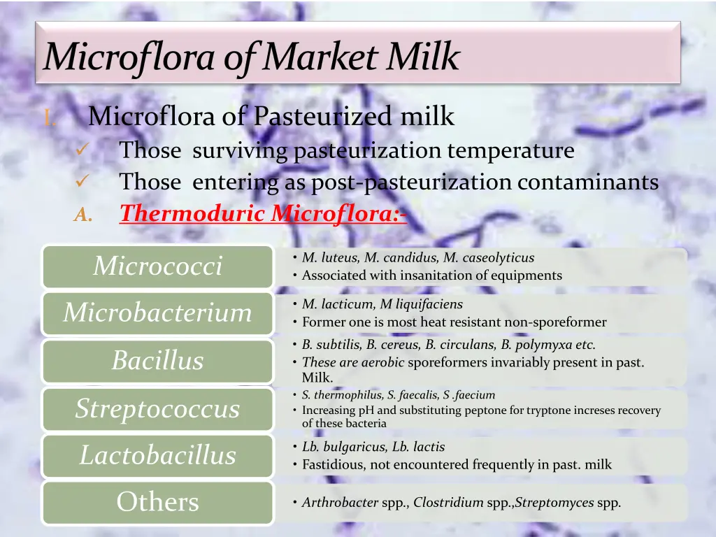 microfloraof market milk