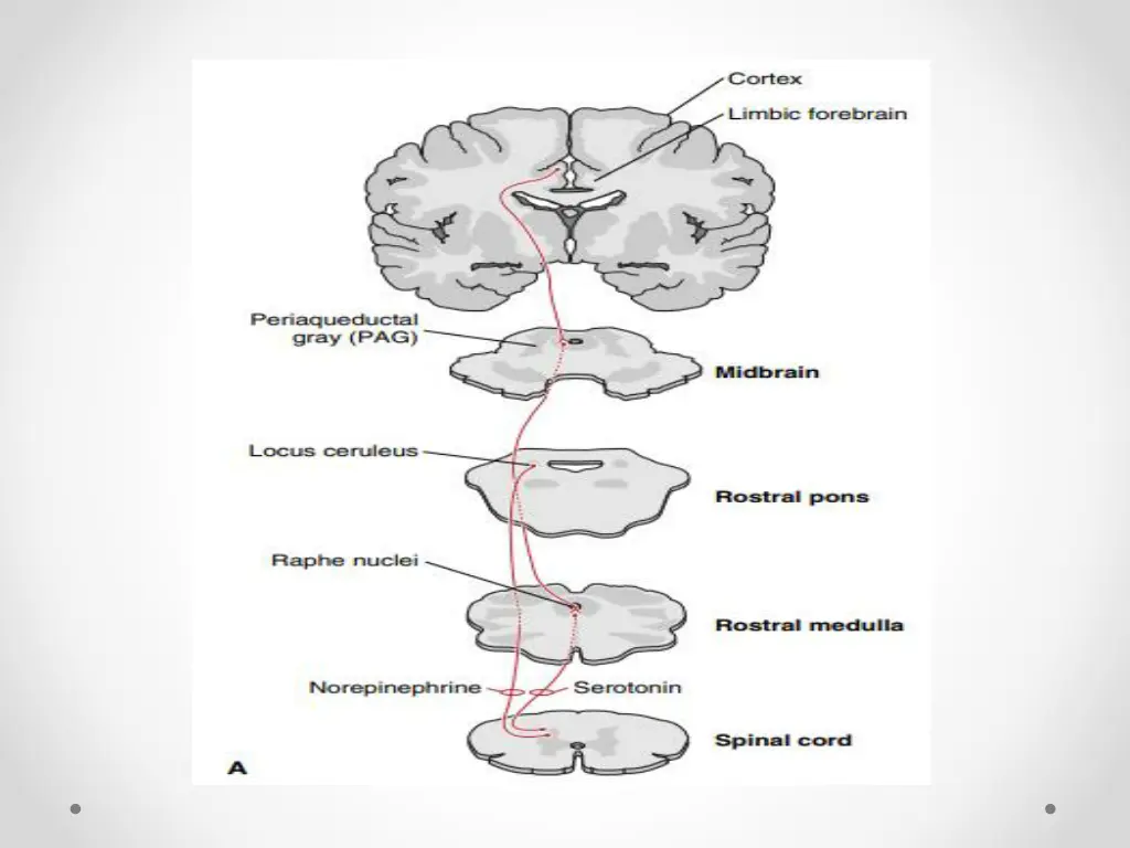 slide11