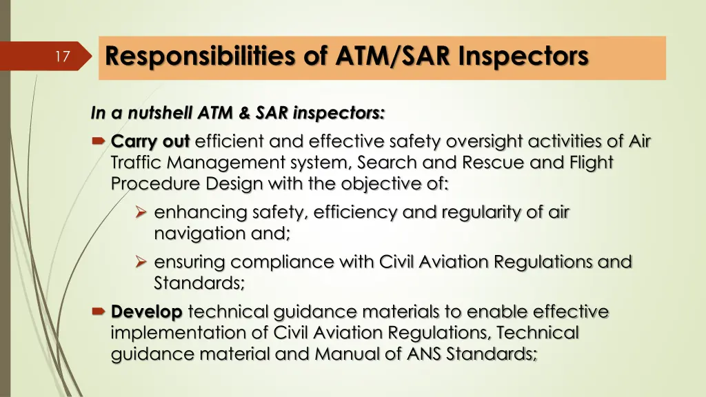 responsibilities of atm sar inspectors