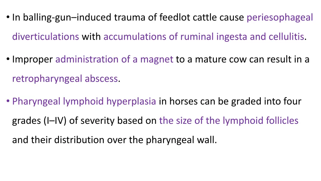 in balling gun induced trauma of feedlot cattle