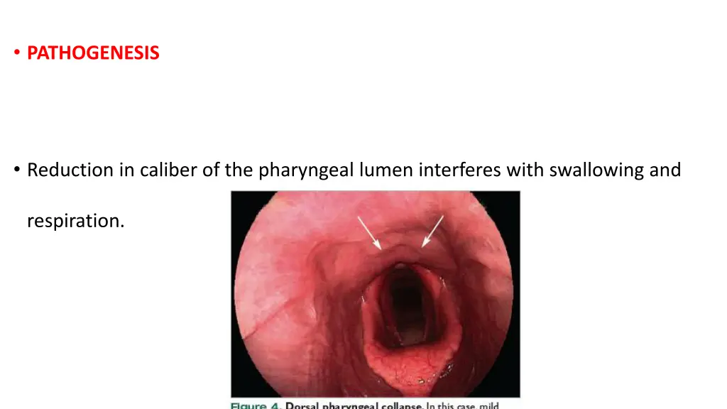 pathogenesis 1