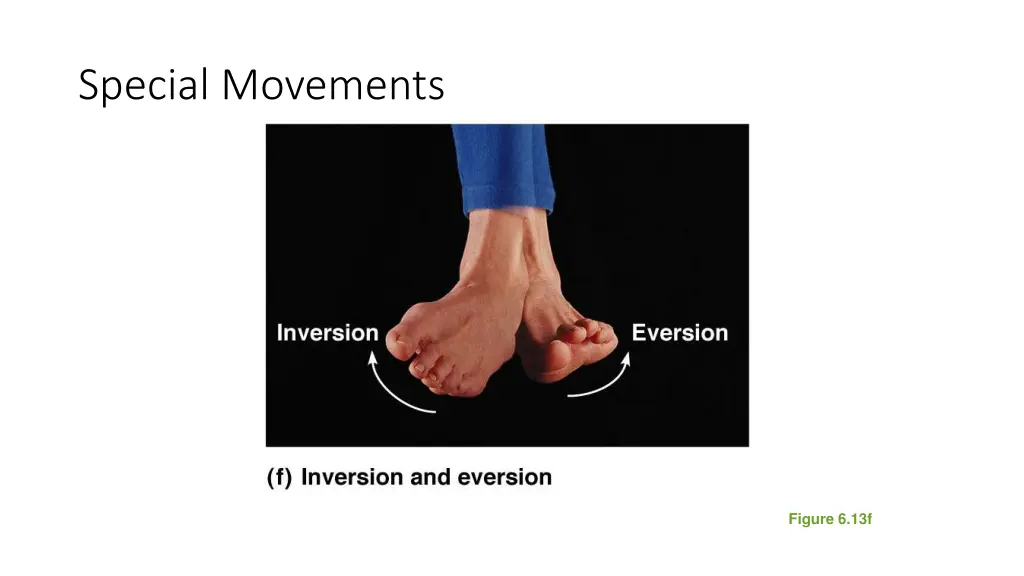 special movements 3