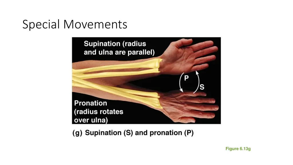 special movements 5