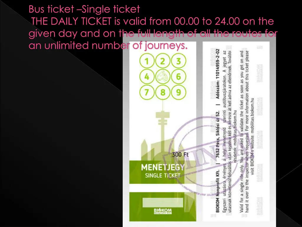 bus ticket single ticket the daily ticket