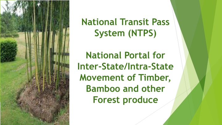 national transit pass system ntps