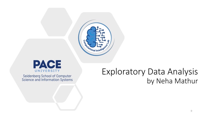 exploratory data analysis by neha mathur