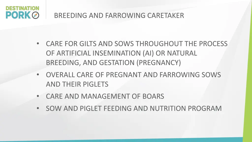 breeding and farrowing caretaker 1