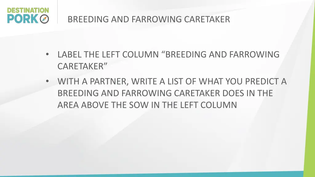 breeding and farrowing caretaker