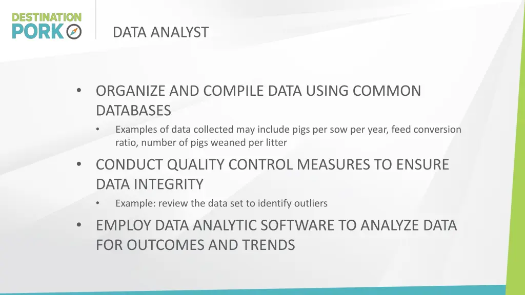 data analyst