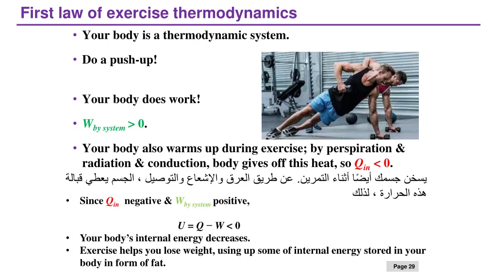 first law of exercise thermodynamics your body