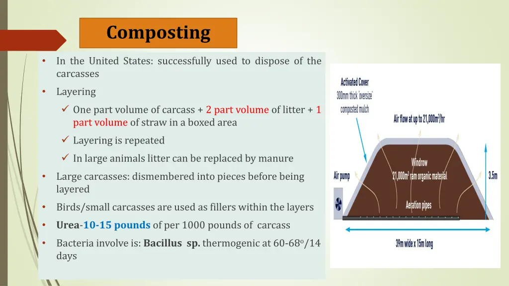 composting 1