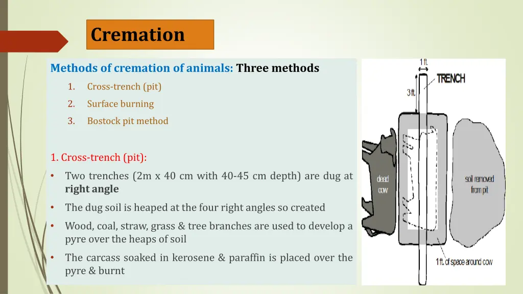 cremation 1