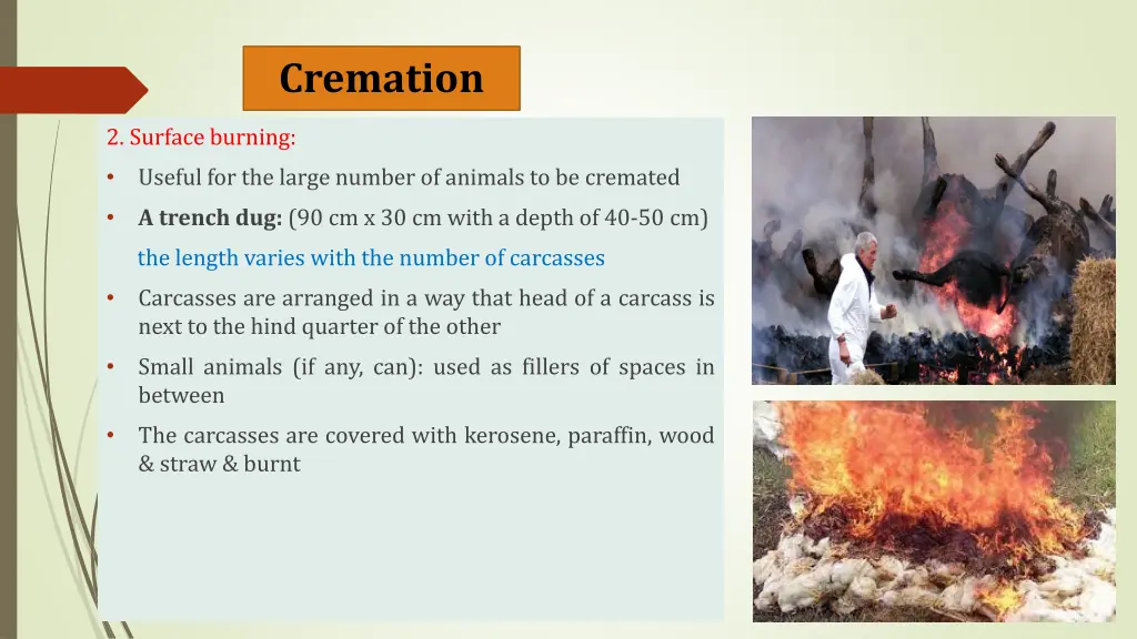 cremation 2