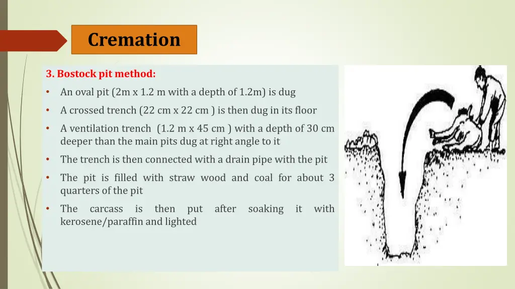 cremation 3