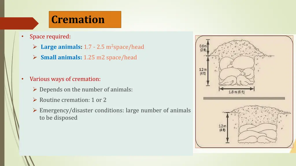 cremation