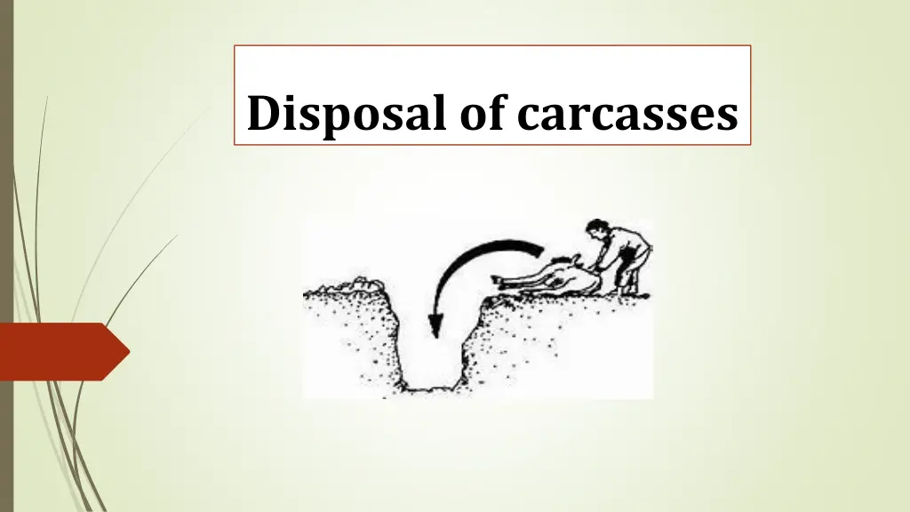 disposal of carcasses