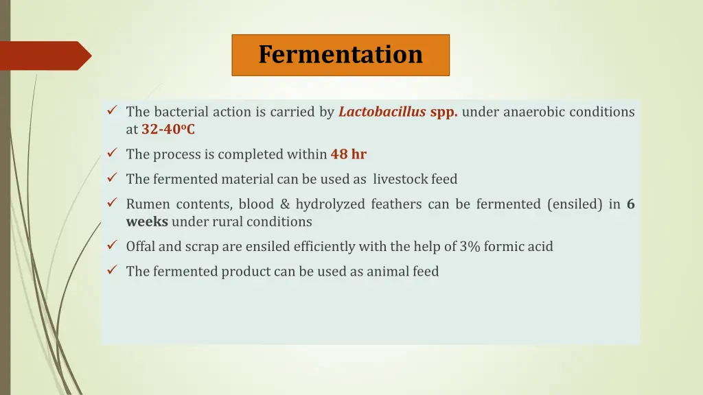 fermentation