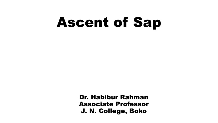 ascent of sap