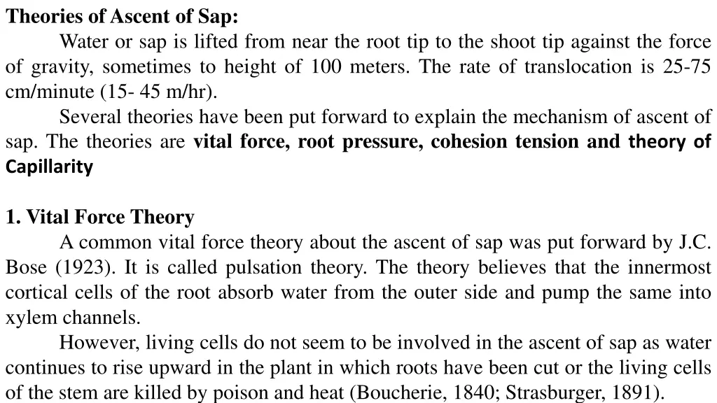 theories of ascent of sap water or sap is lifted