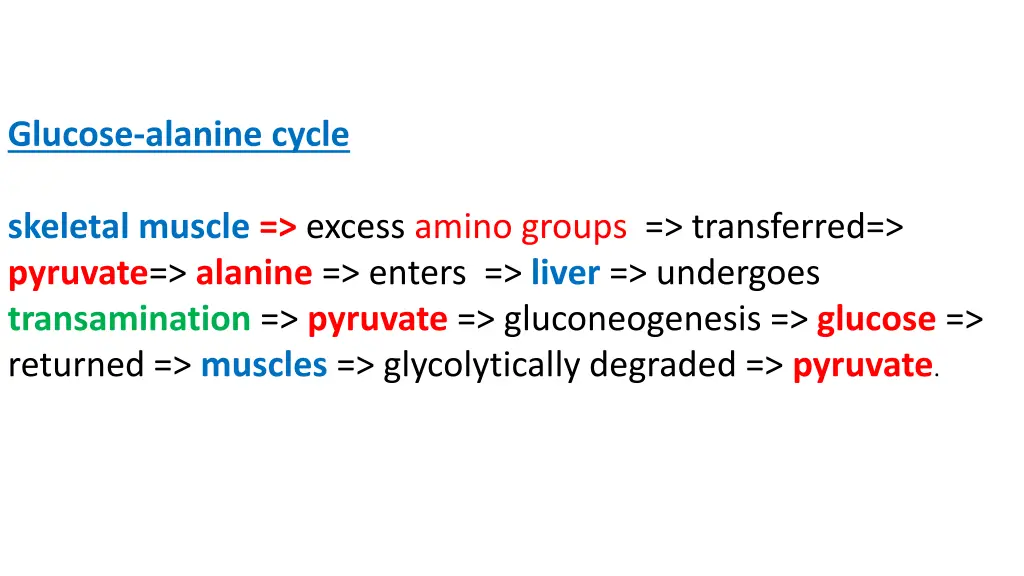 glucose alanine cycle