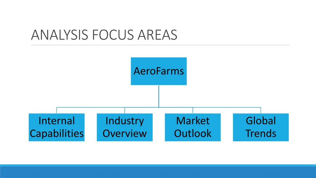 analysis focus areas