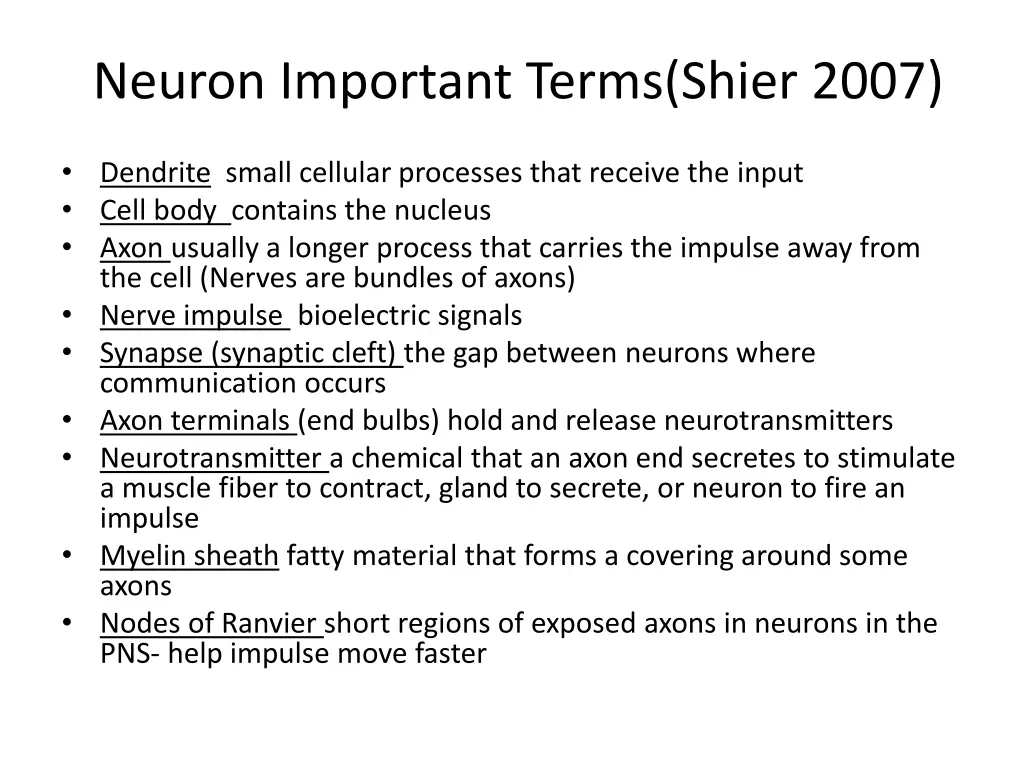 neuron important terms shier 2007