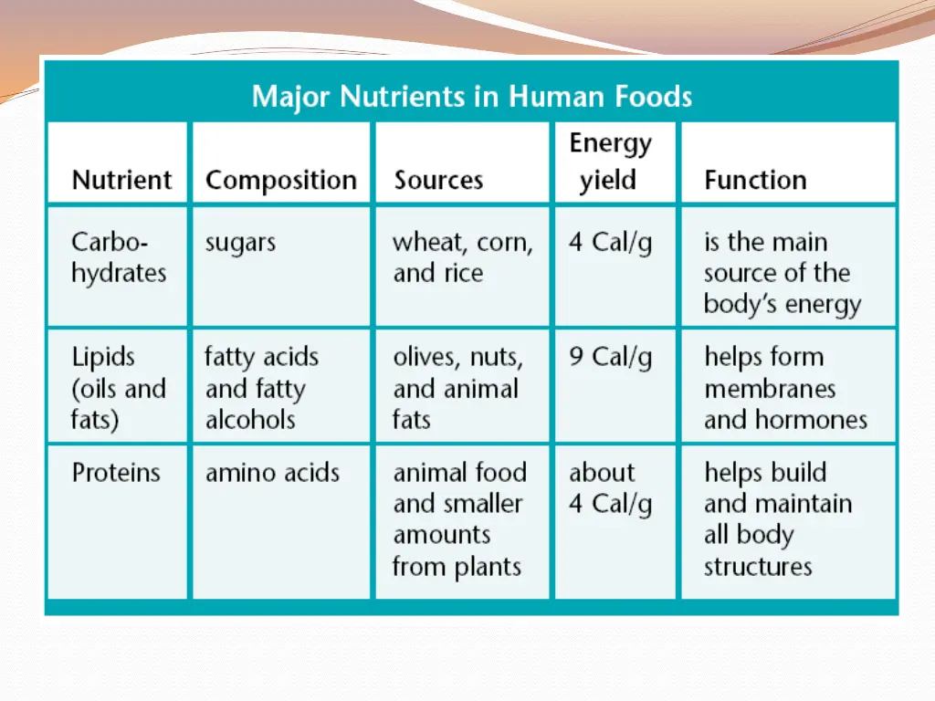 humans and nutrition 1