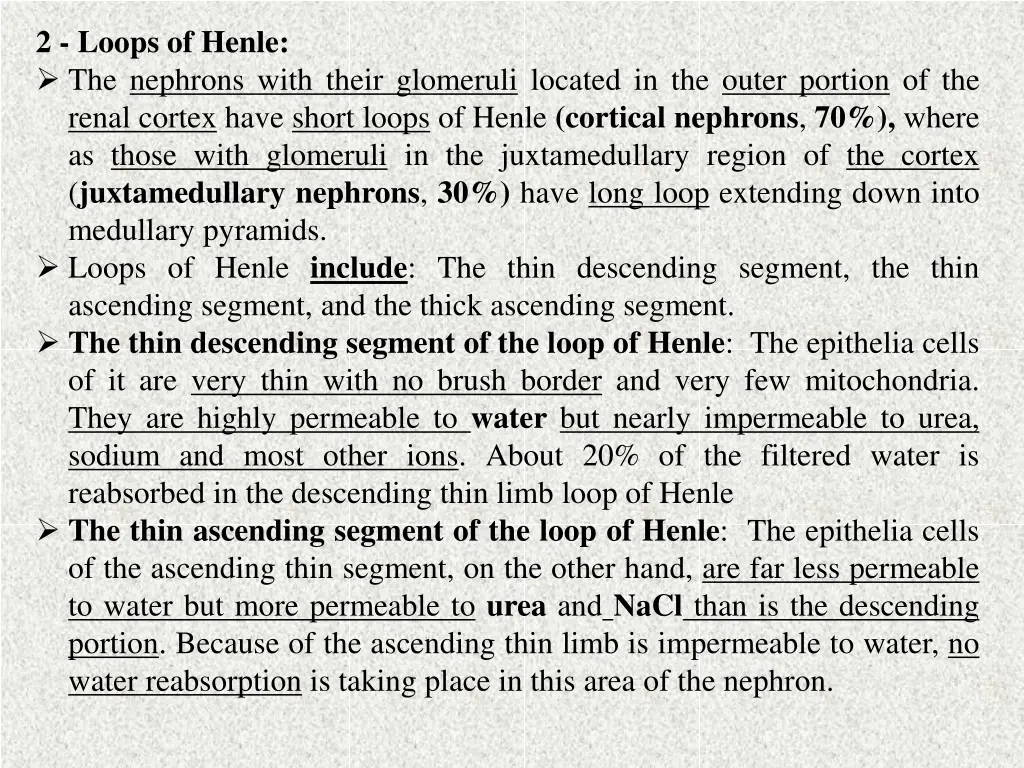 2 loops of henle the nephrons with their